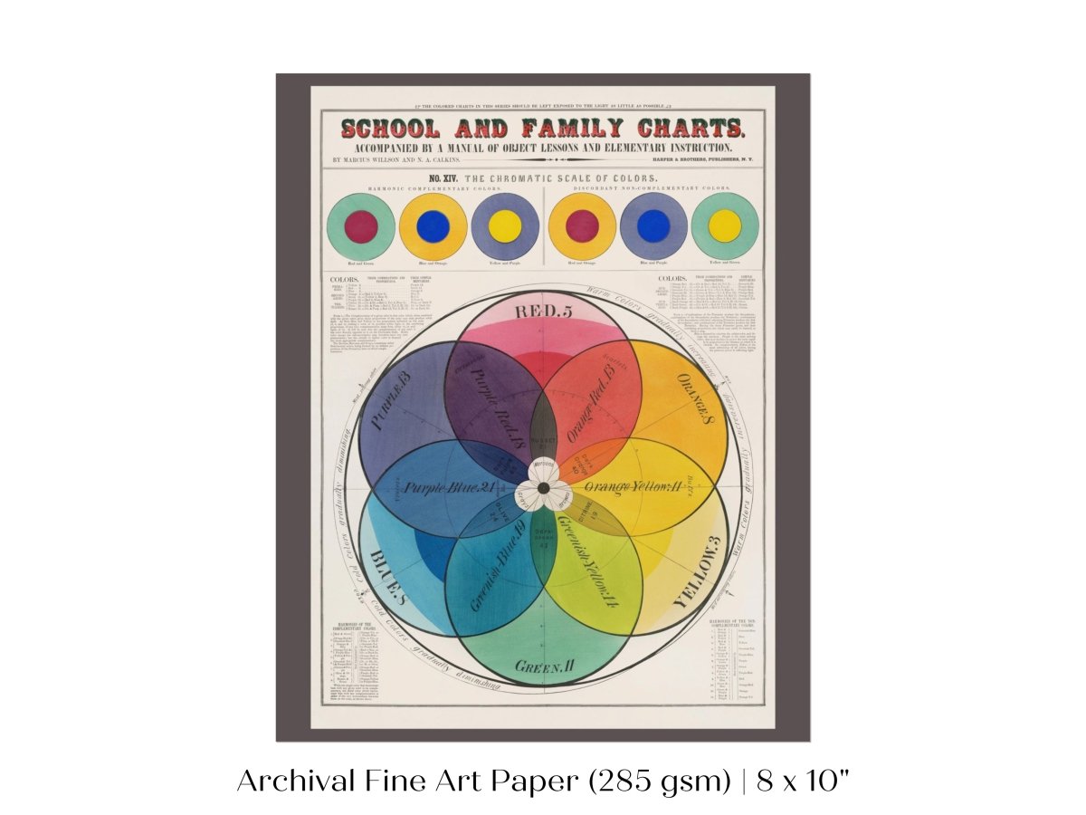 The Chromatic Scale of Colors | P697 - Single Art Prints - Piccolo Fiore Prints