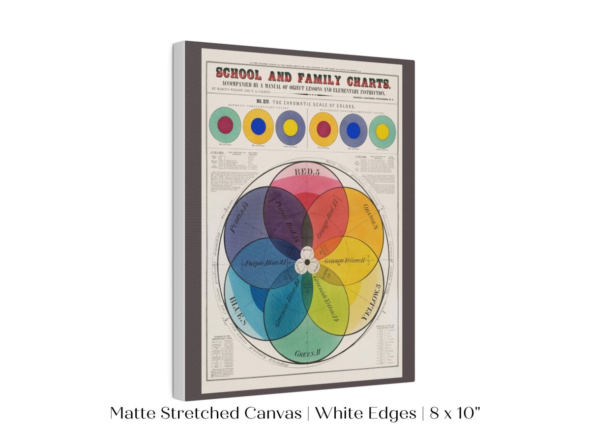 The Chromatic Scale of Colors | P697 - Single Art Prints - Piccolo Fiore Prints