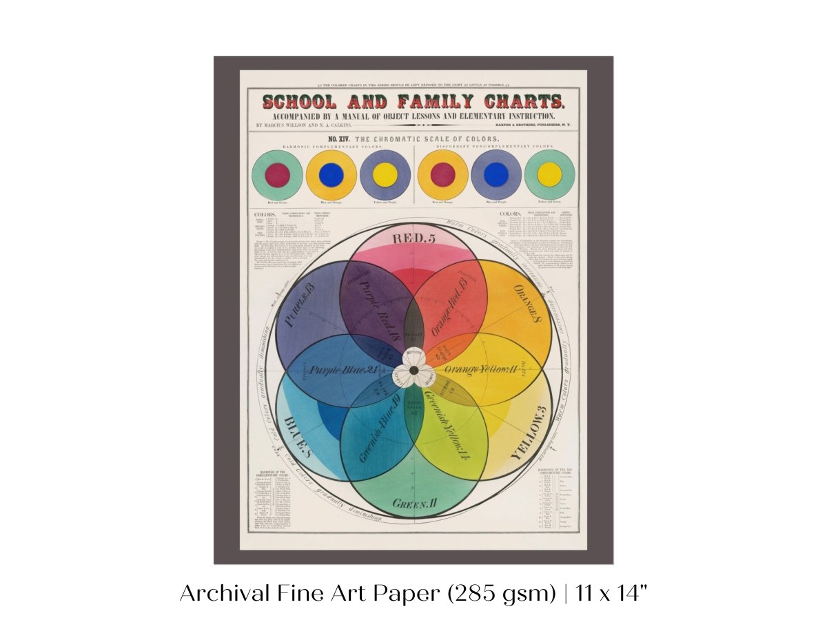 The Chromatic Scale of Colors | P697 - Single Art Prints - Piccolo Fiore Prints