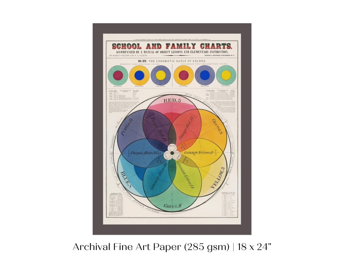 The Chromatic Scale of Colors | P697 - Single Art Prints - Piccolo Fiore Prints