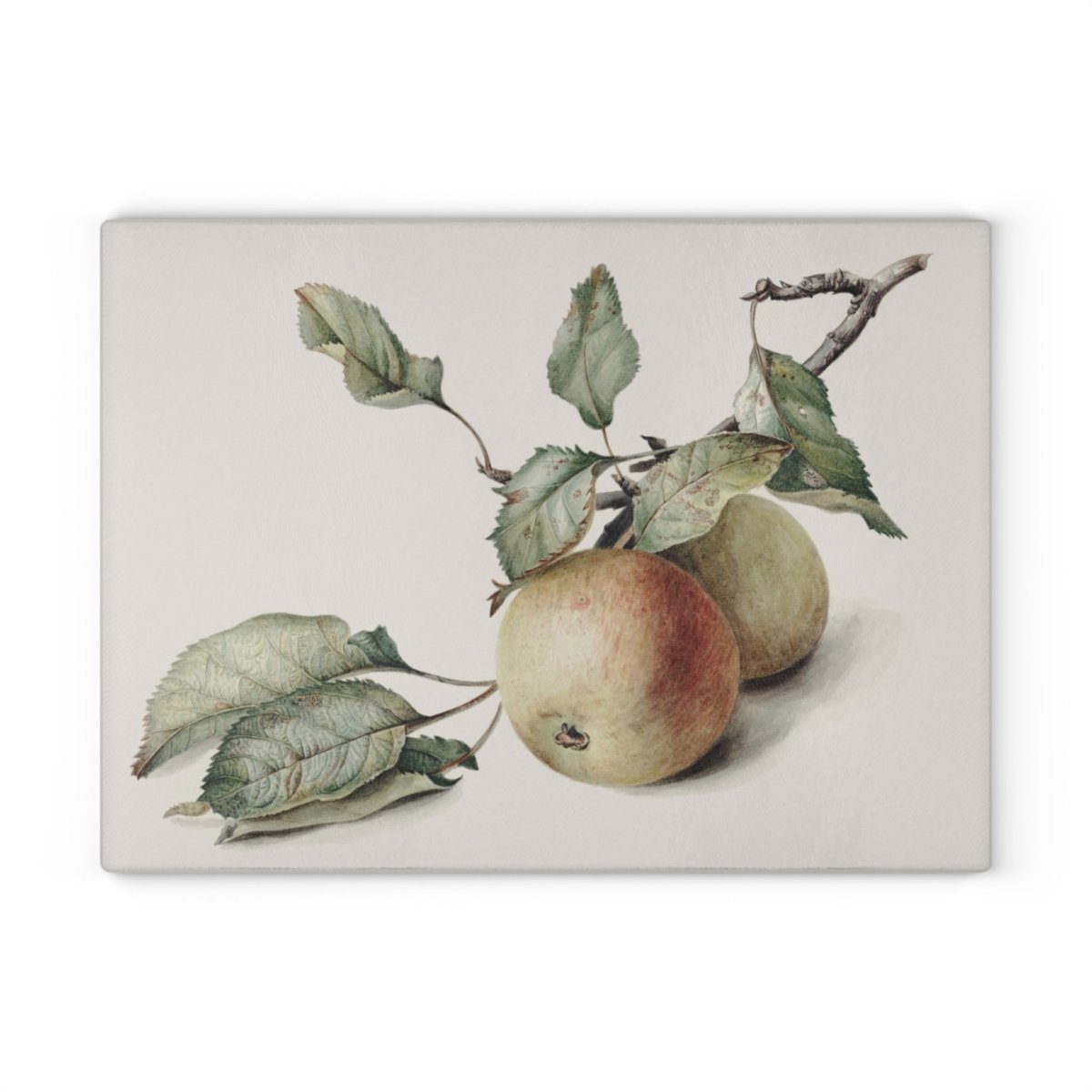 Two Apples on a Branch | Glass Chopping Board - Glass Chopping Board - Piccolo Fiore Prints