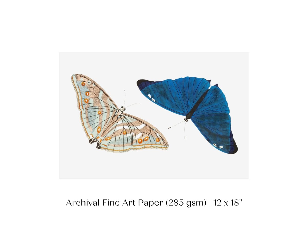 Two Butterflies | P90 - Single Art Prints - Piccolo Fiore Prints