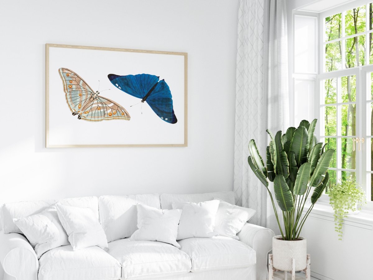 Two Butterflies | P90 - Single Art Prints - Piccolo Fiore Prints
