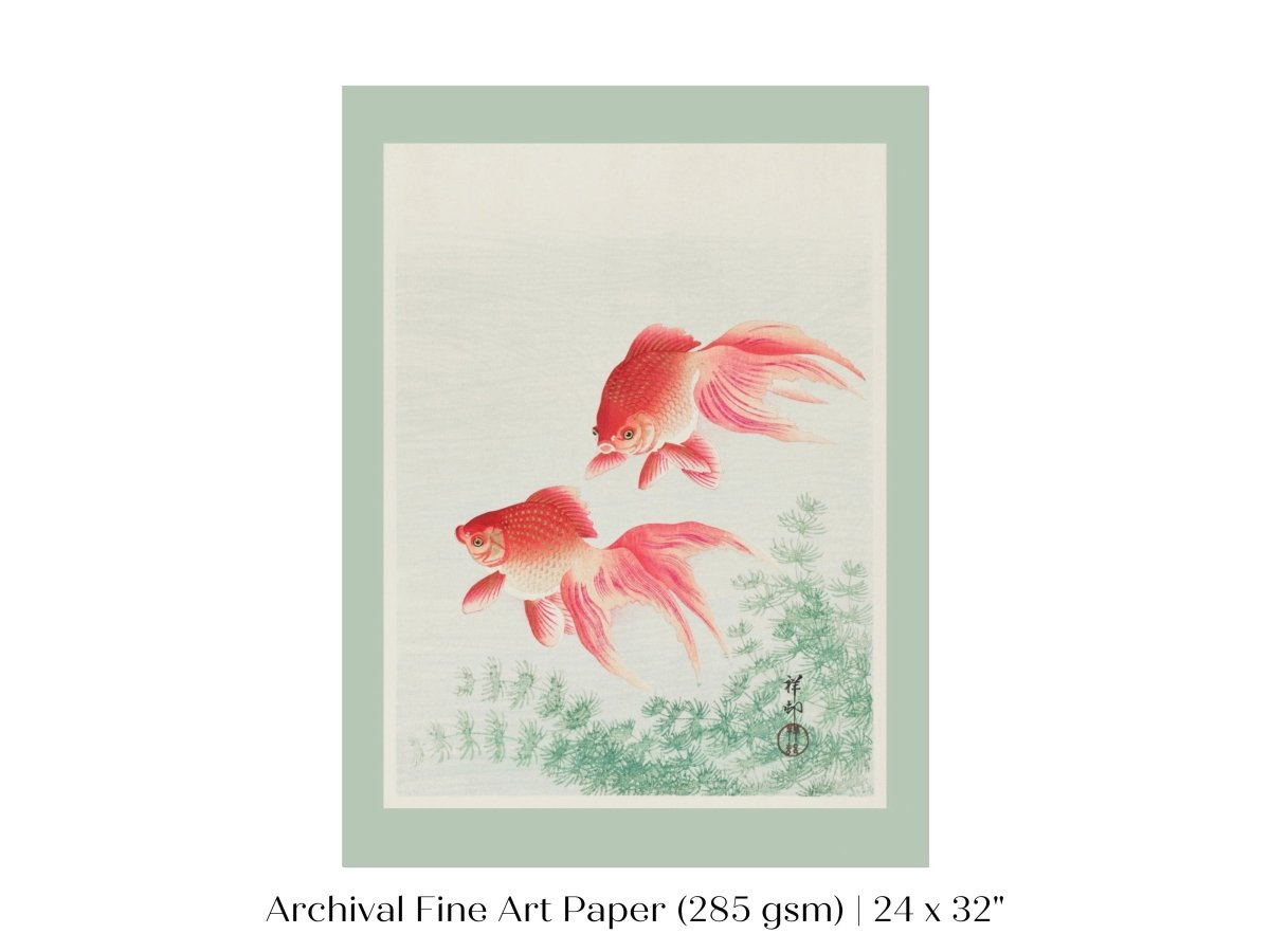 Two Veil Goldfish | Vintage Japanese Art | P161 - Single Art Prints - Piccolo Fiore Prints
