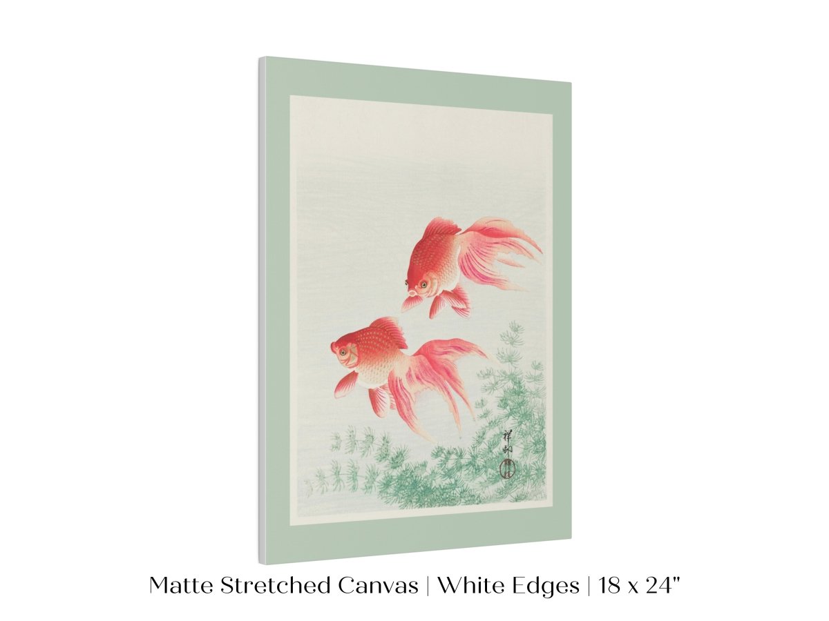 Two Veil Goldfish | Vintage Japanese Art | P161 - Single Art Prints - Piccolo Fiore Prints