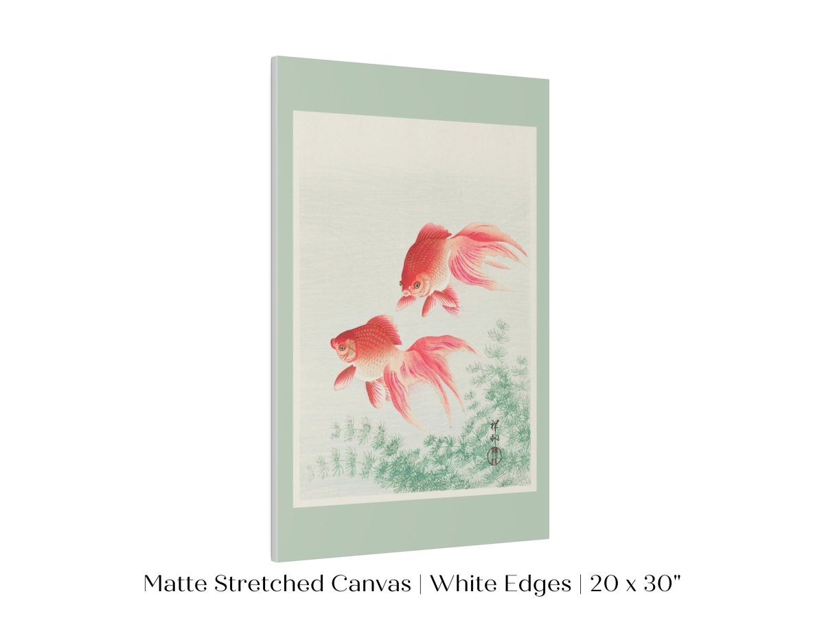 Two Veil Goldfish | Vintage Japanese Art | P161 - Single Art Prints - Piccolo Fiore Prints