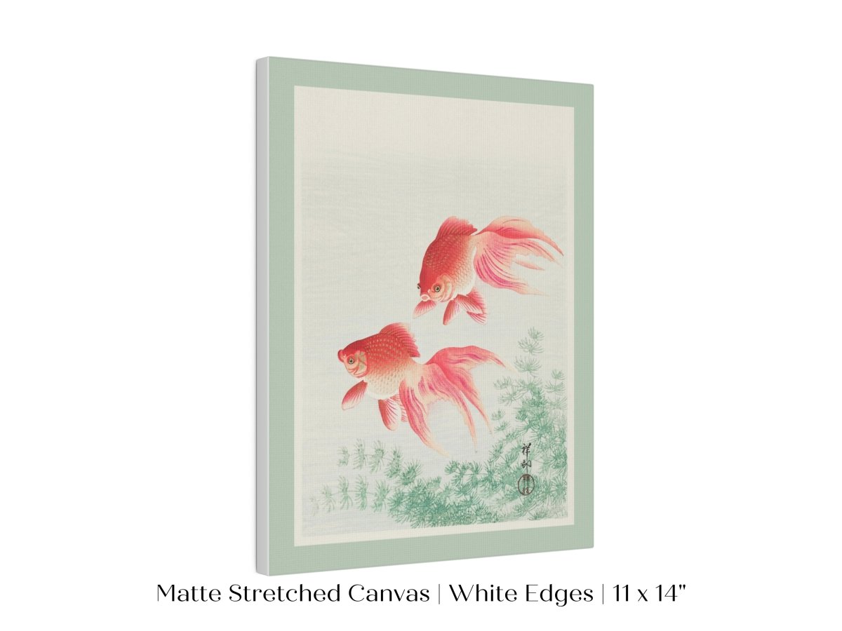 Two Veil Goldfish | Vintage Japanese Art | P161 - Single Art Prints - Piccolo Fiore Prints