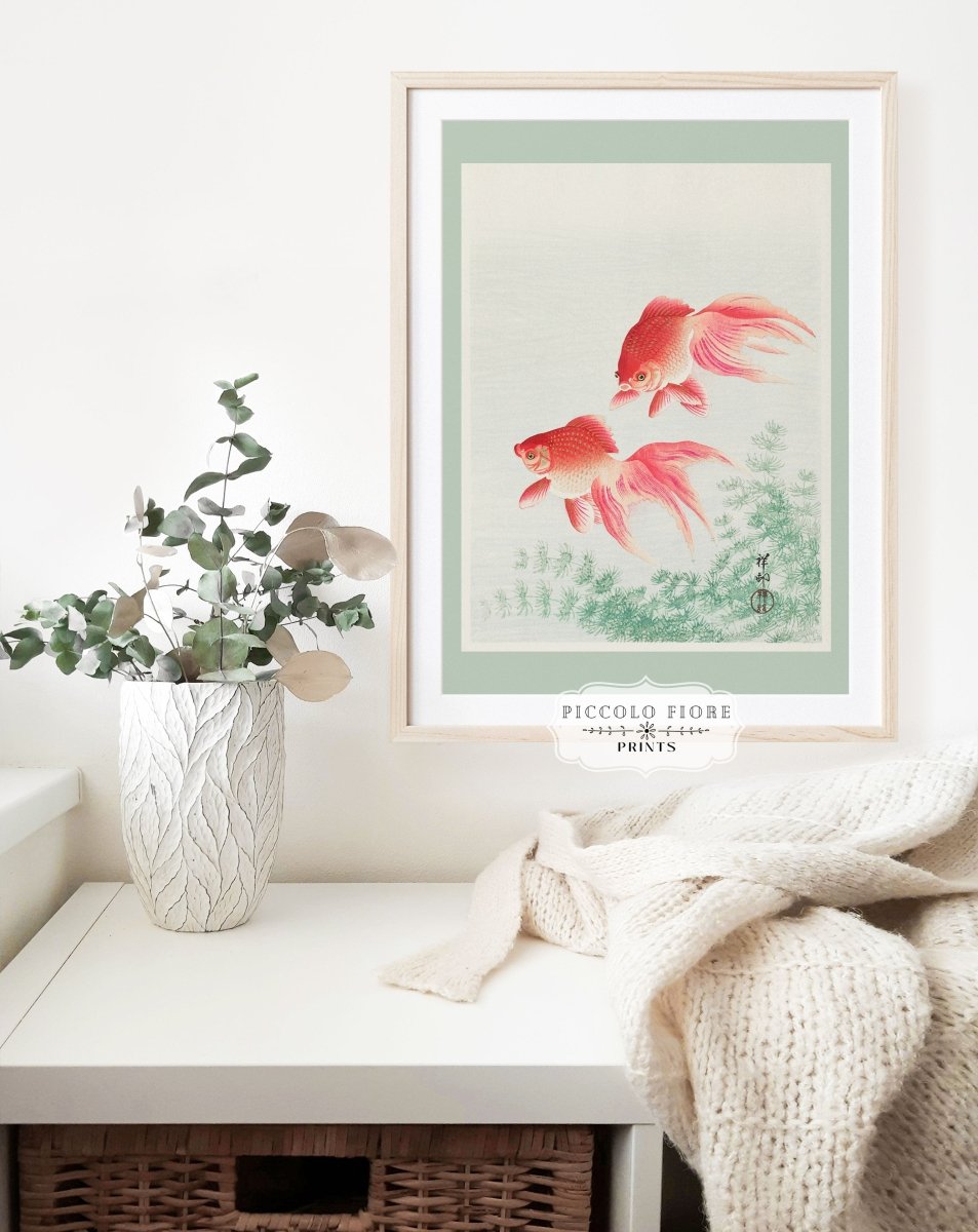 Two Veil Goldfish | Vintage Japanese Art | P161 - Single Art Prints - Piccolo Fiore Prints