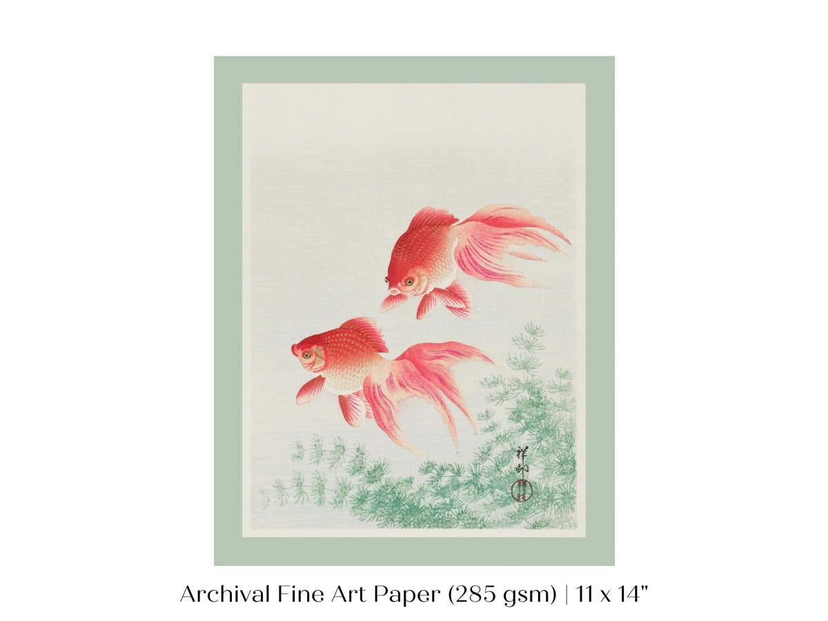 Two Veil Goldfish | Vintage Japanese Art | P161 - Single Art Prints - Piccolo Fiore Prints
