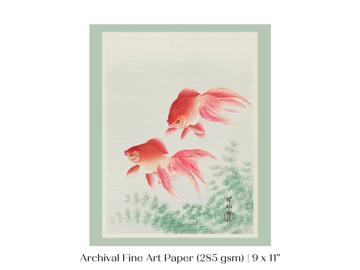 Two Veil Goldfish | Vintage Japanese Art | P161 - Single Art Prints - Piccolo Fiore Prints