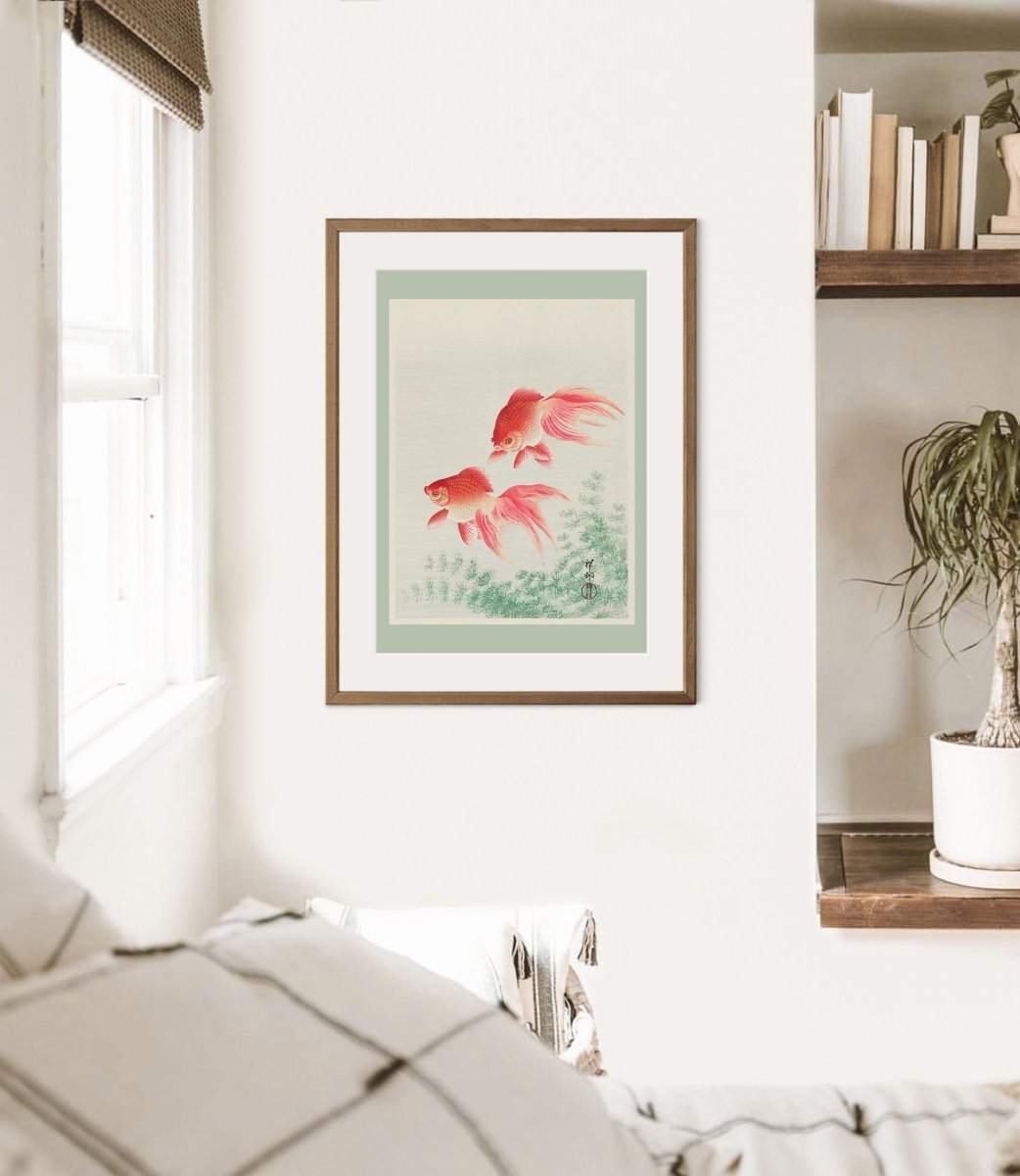 Two Veil Goldfish | Vintage Japanese Art | P161 - Single Art Prints - Piccolo Fiore Prints