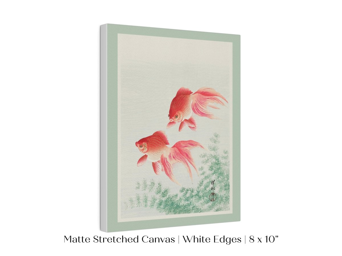 Two Veil Goldfish | Vintage Japanese Art | P161 - Single Art Prints - Piccolo Fiore Prints