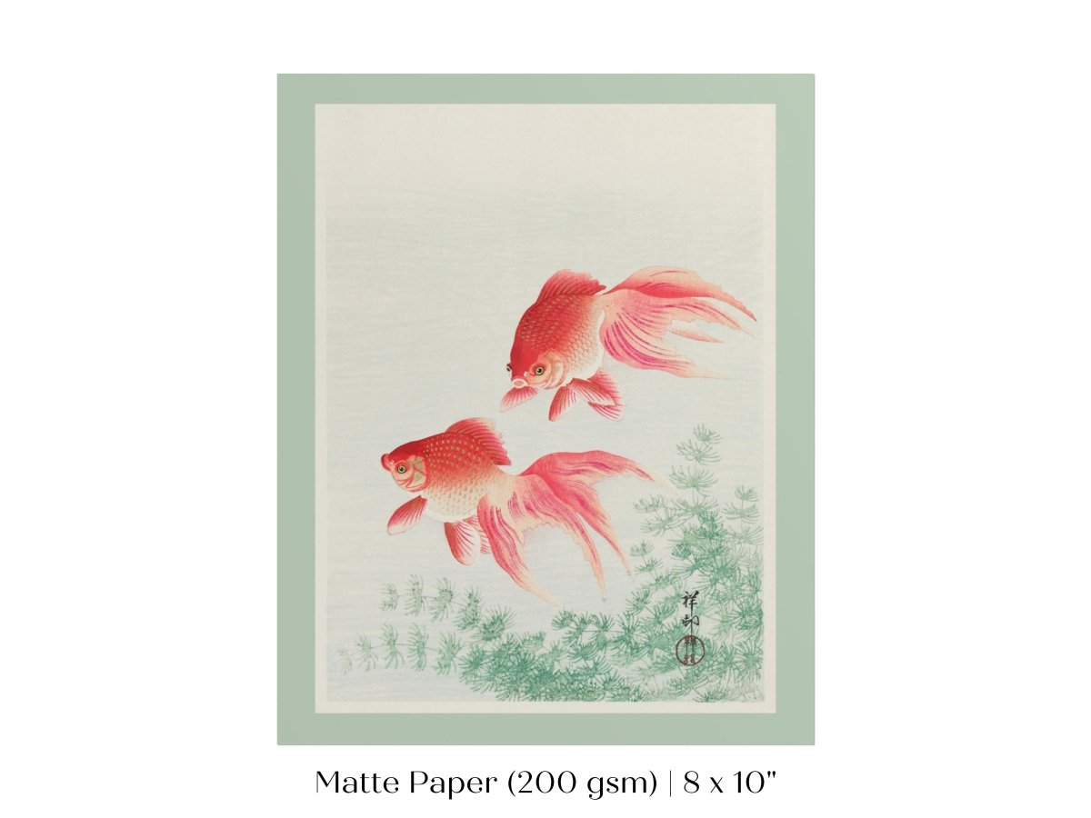Two Veil Goldfish | Vintage Japanese Art | P161 - Single Art Prints - Piccolo Fiore Prints