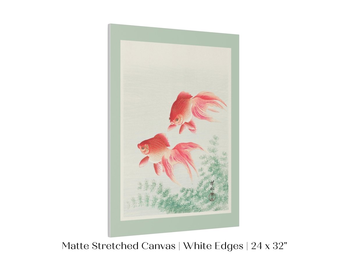 Two Veil Goldfish | Vintage Japanese Art | P161 - Single Art Prints - Piccolo Fiore Prints