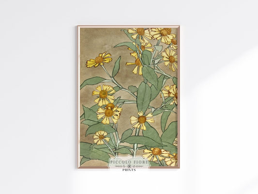 Watercolour Daisies | P286 - Single Art Prints - Piccolo Fiore Prints