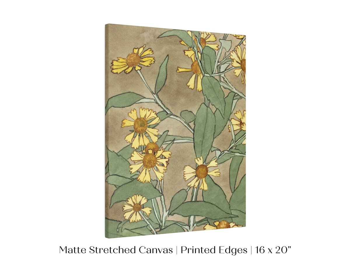 Watercolour Daisies | P286 - Single Art Prints - Piccolo Fiore Prints
