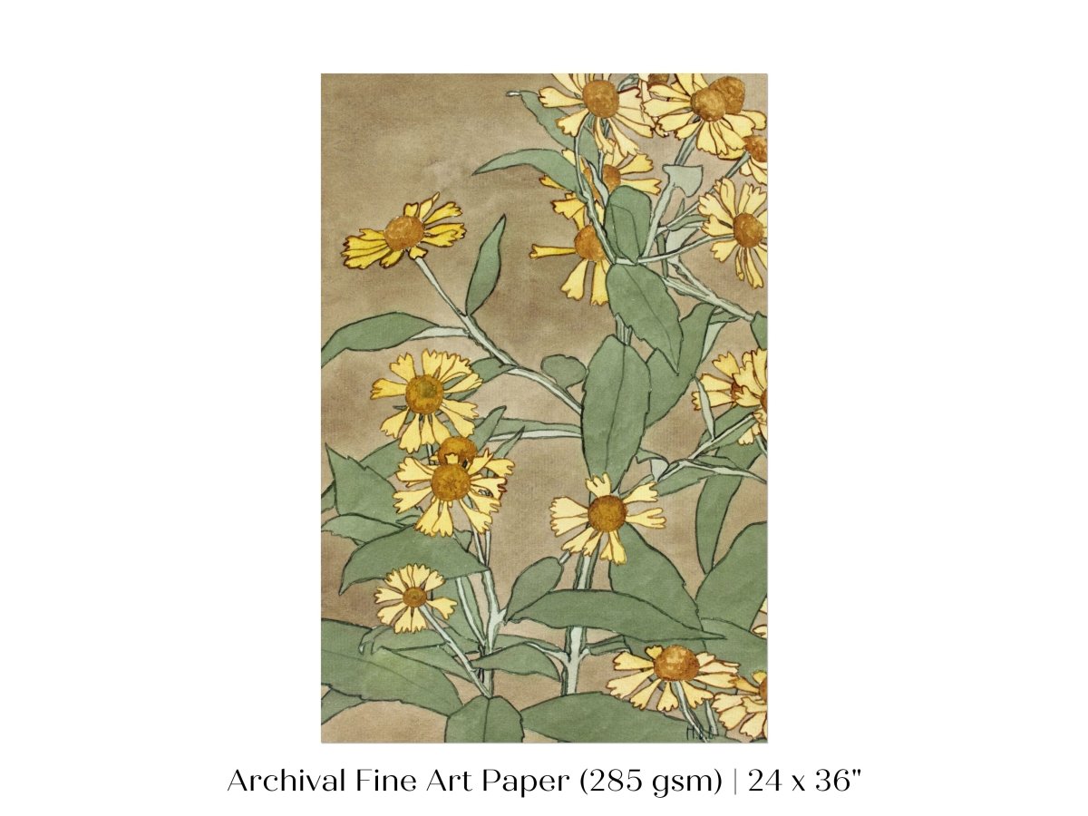 Watercolour Daisies | P286 - Single Art Prints - Piccolo Fiore Prints