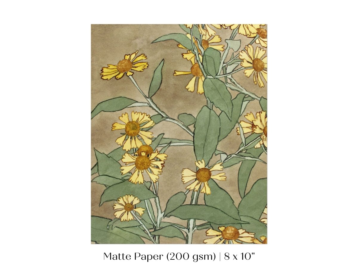 Watercolour Daisies | P286 - Single Art Prints - Piccolo Fiore Prints