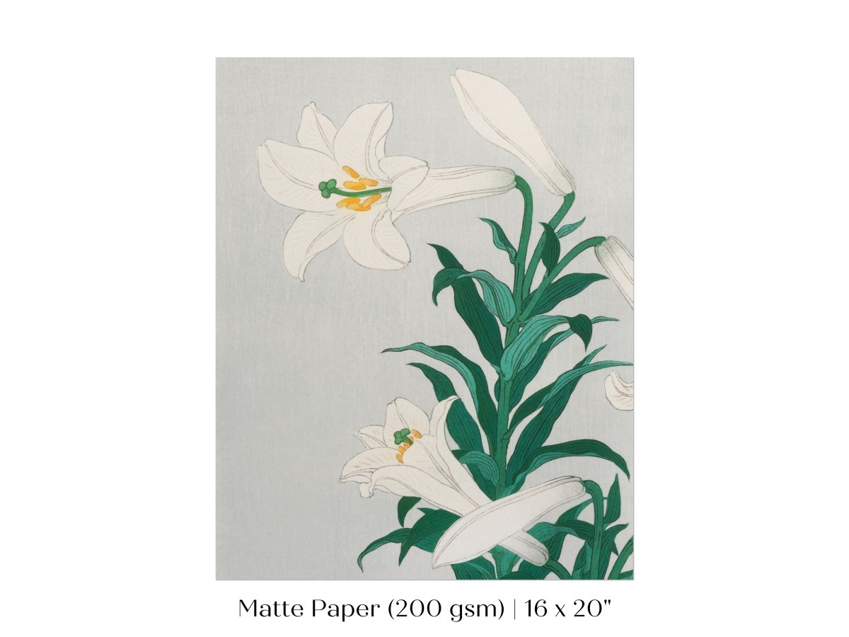 White Lilies | Vintage Japanese Art Print | P355 - Single Art Prints - Piccolo Fiore Prints