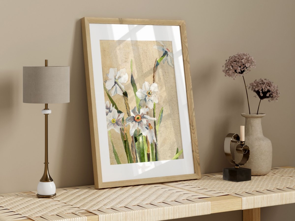 White Narcissus | P77 - Single Art Prints - Piccolo Fiore Prints