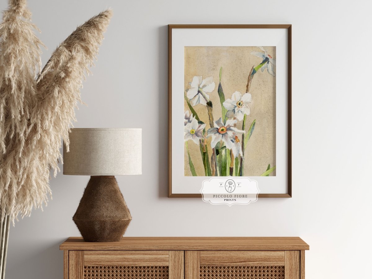 White Narcissus | P77 - Single Art Prints - Piccolo Fiore Prints