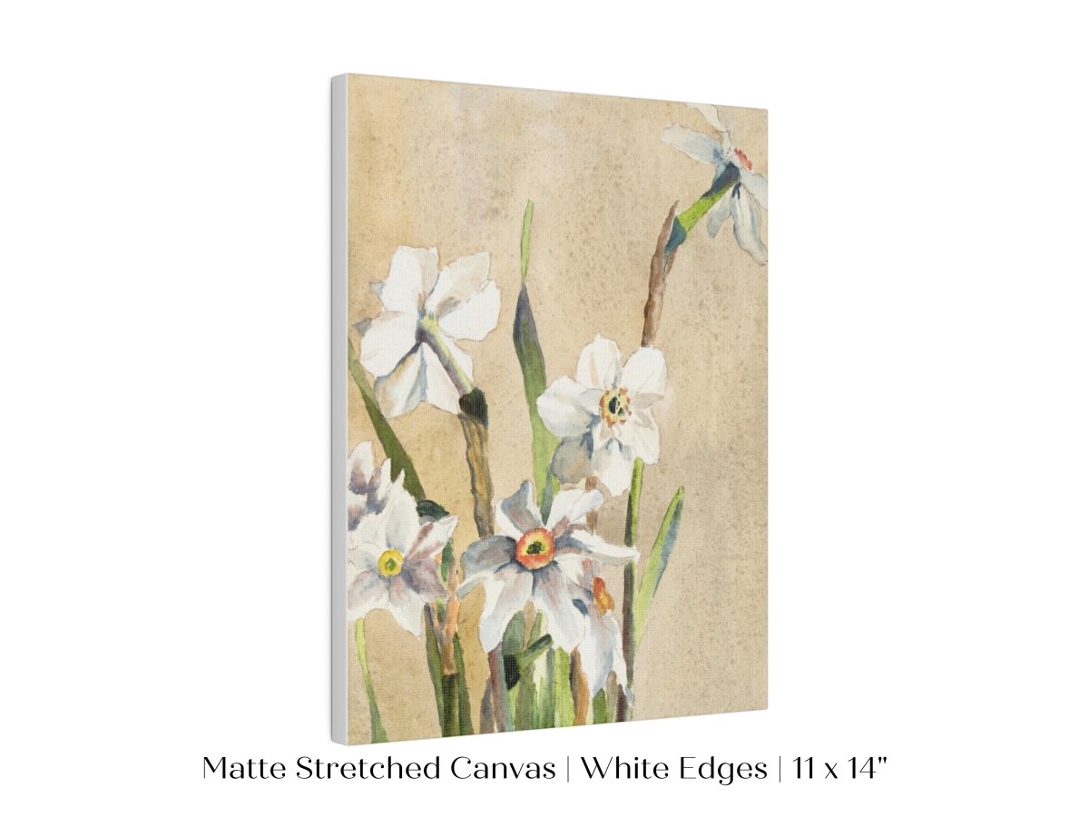 White Narcissus | P77 - Single Art Prints - Piccolo Fiore Prints