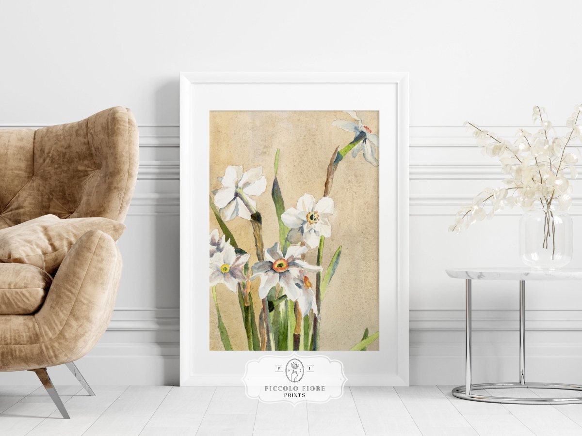 White Narcissus | P77 - Single Art Prints - Piccolo Fiore Prints