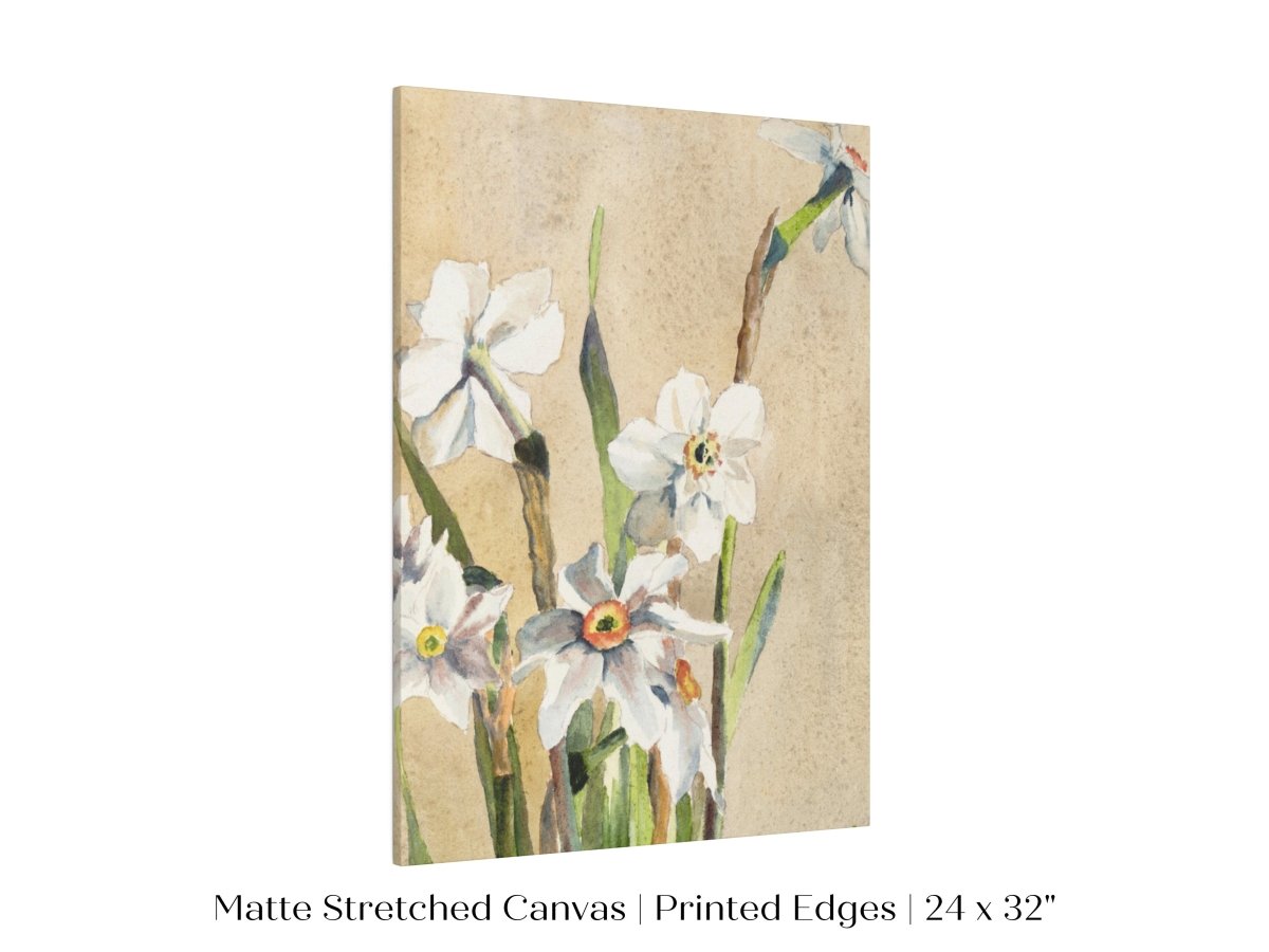 White Narcissus | P77 - Single Art Prints - Piccolo Fiore Prints