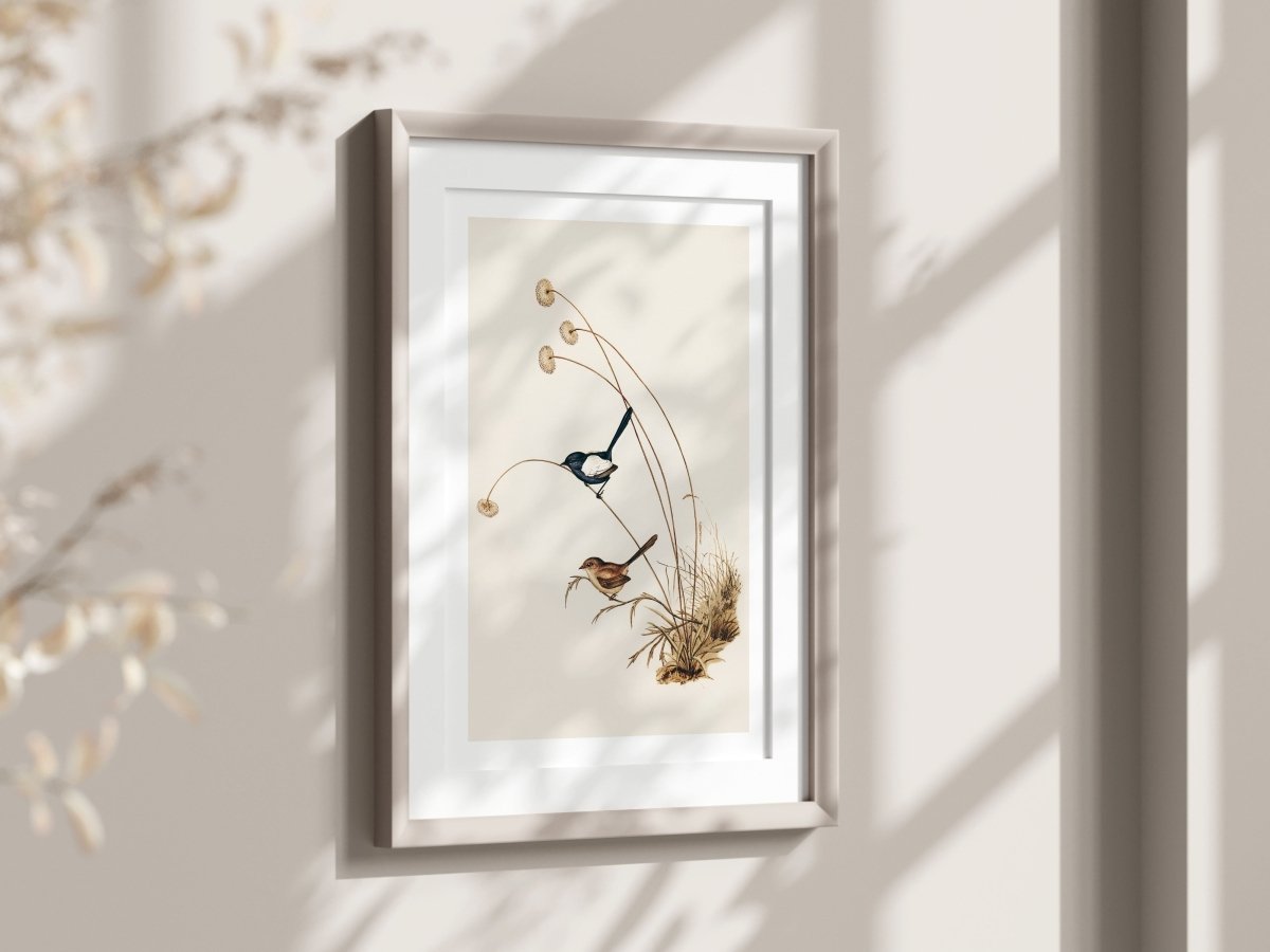 White - Winged Wren Illustration | P316 - Single Art Prints - Piccolo Fiore Prints