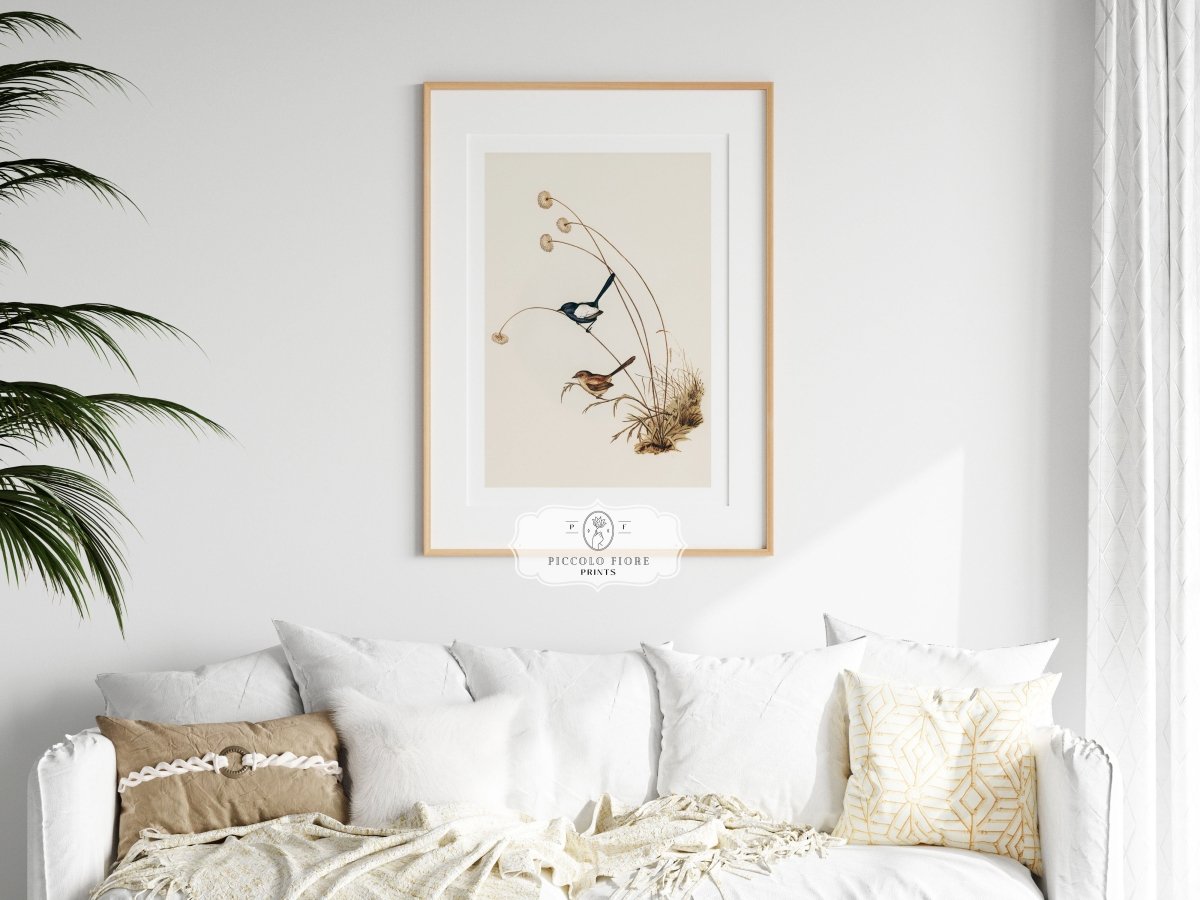 White - Winged Wren Illustration | P316 - Single Art Prints - Piccolo Fiore Prints