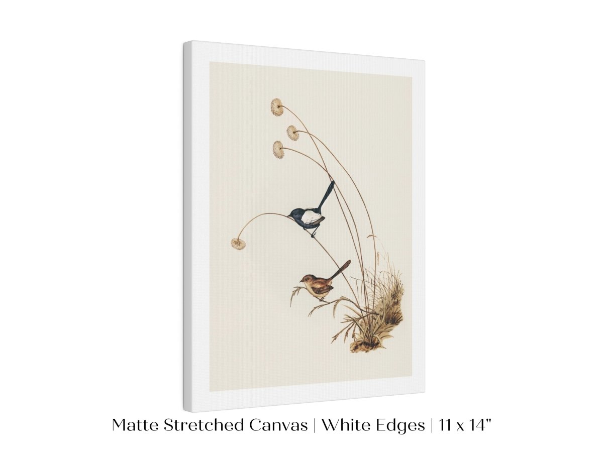 White - Winged Wren Illustration | P316 - Single Art Prints - Piccolo Fiore Prints