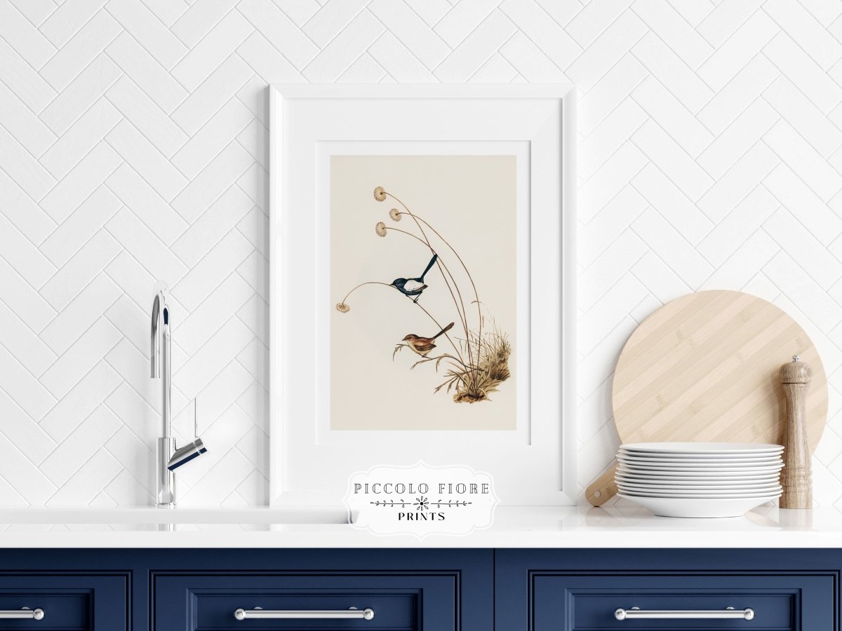 White - Winged Wren Illustration | P316 - Single Art Prints - Piccolo Fiore Prints