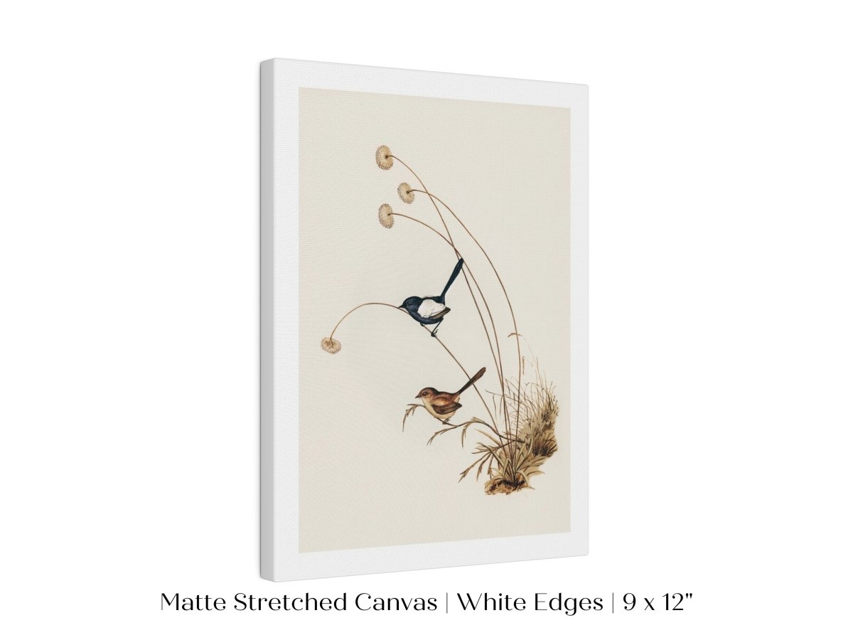 White - Winged Wren Illustration | P316 - Single Art Prints - Piccolo Fiore Prints
