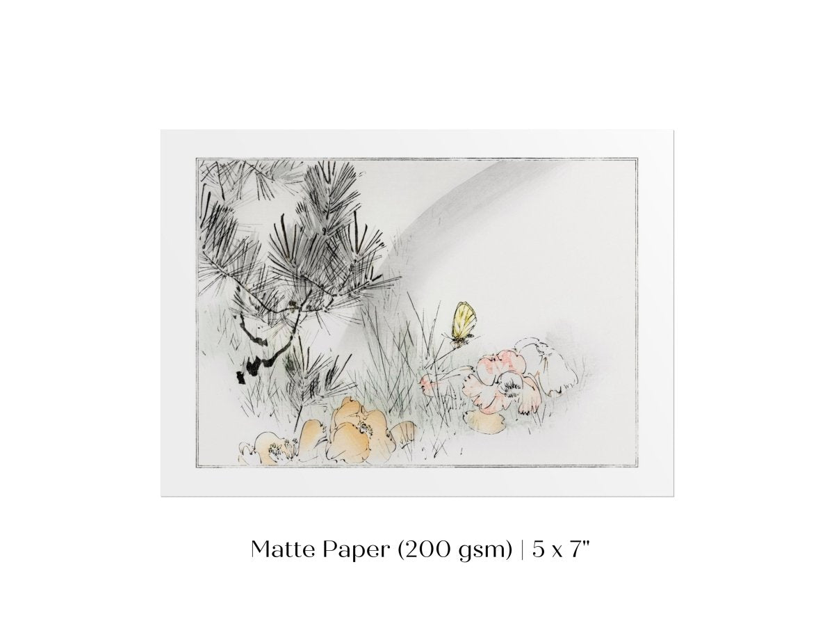 Wild Pine Tree | Vintage Japanese Art | P75 - Single Art Prints - Piccolo Fiore Prints