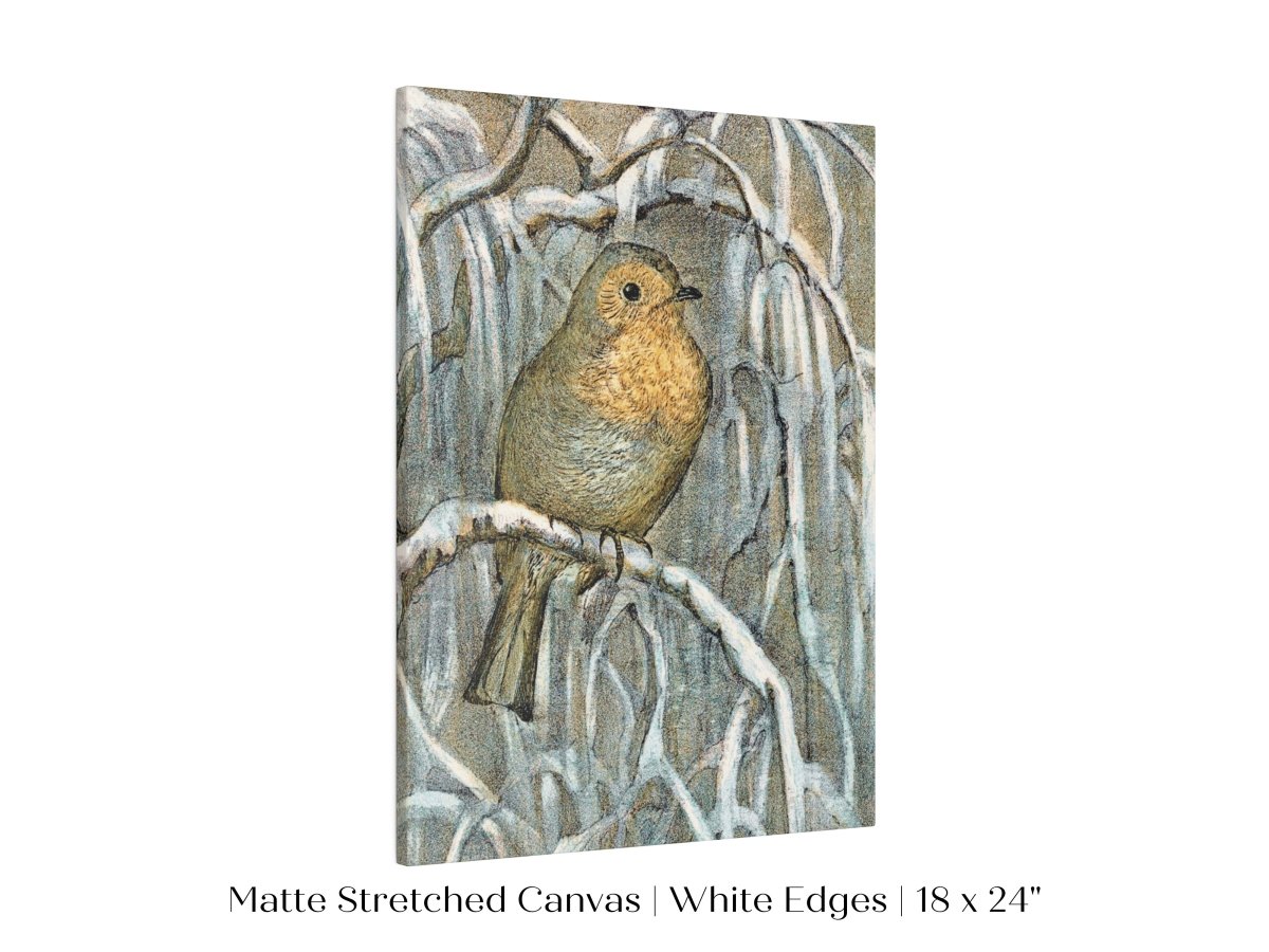 Winter Robin | P381 - Single Art Prints - Piccolo Fiore Prints