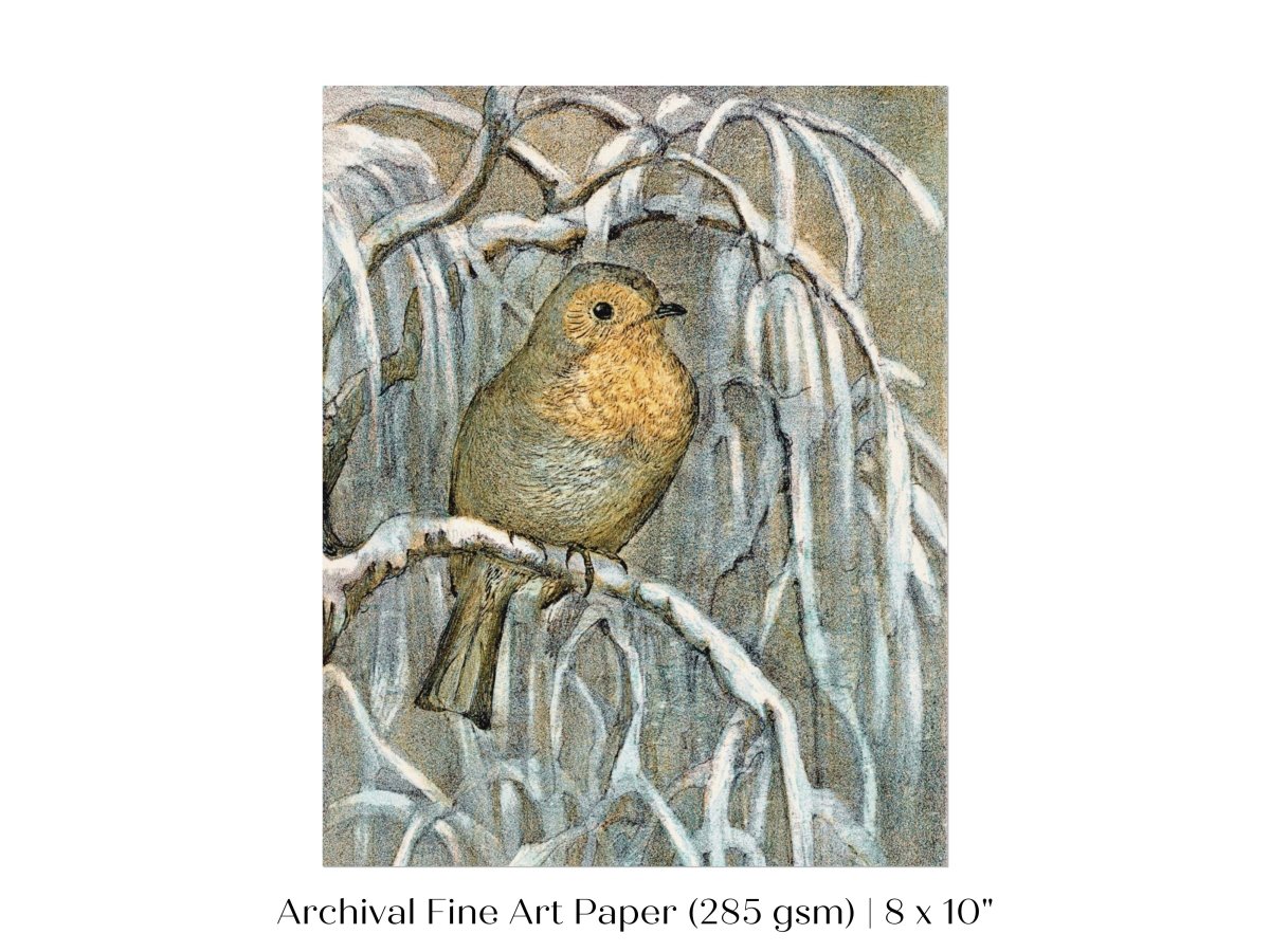Winter Robin | P381 - Single Art Prints - Piccolo Fiore Prints