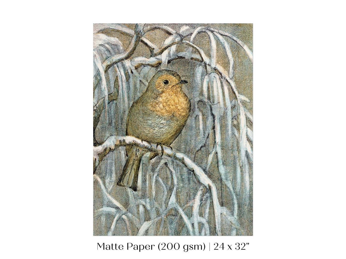 Winter Robin | P381 - Single Art Prints - Piccolo Fiore Prints