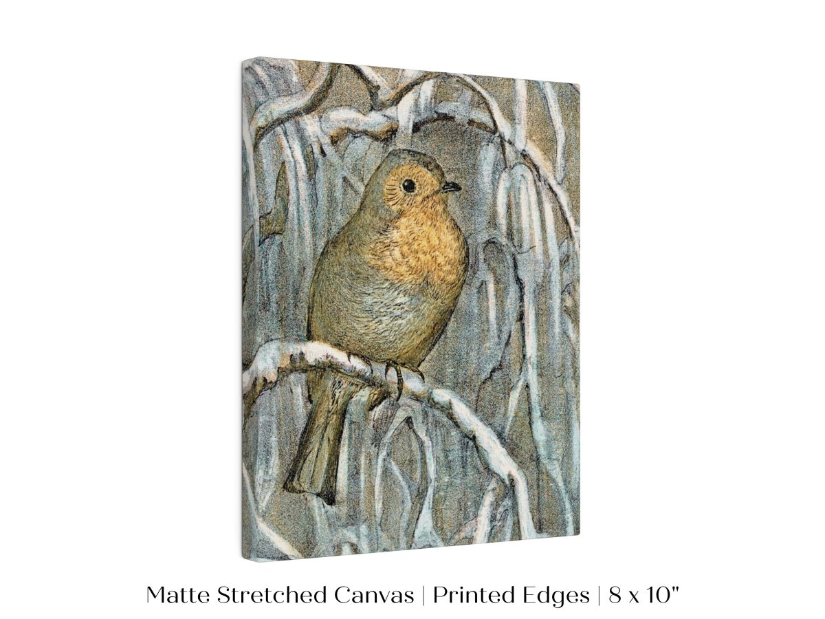 Winter Robin | P381 - Single Art Prints - Piccolo Fiore Prints
