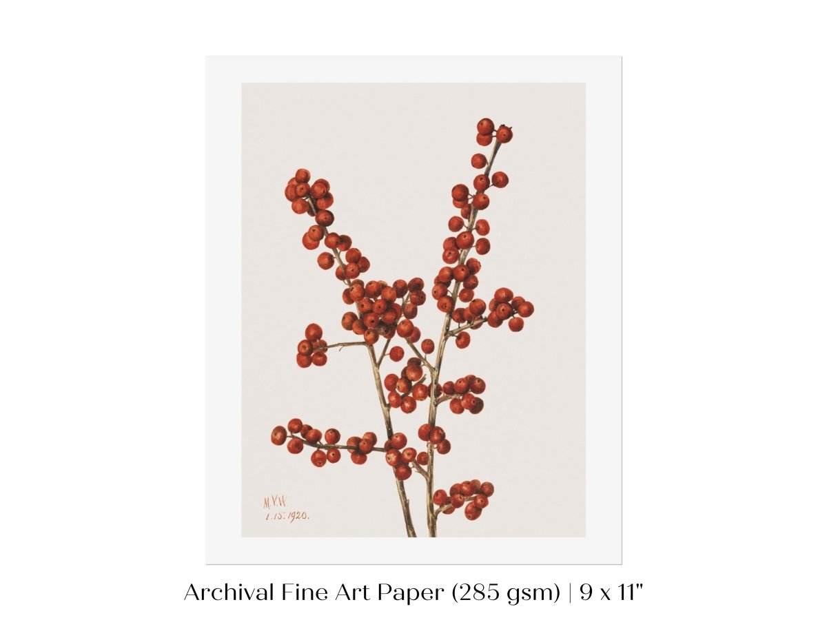Winterberry Illustration | P469 - Single Art Prints - Piccolo Fiore Prints