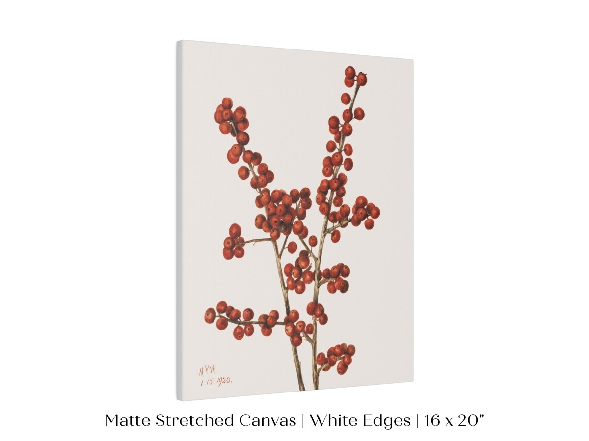 Winterberry Illustration | P469 - Single Art Prints - Piccolo Fiore Prints