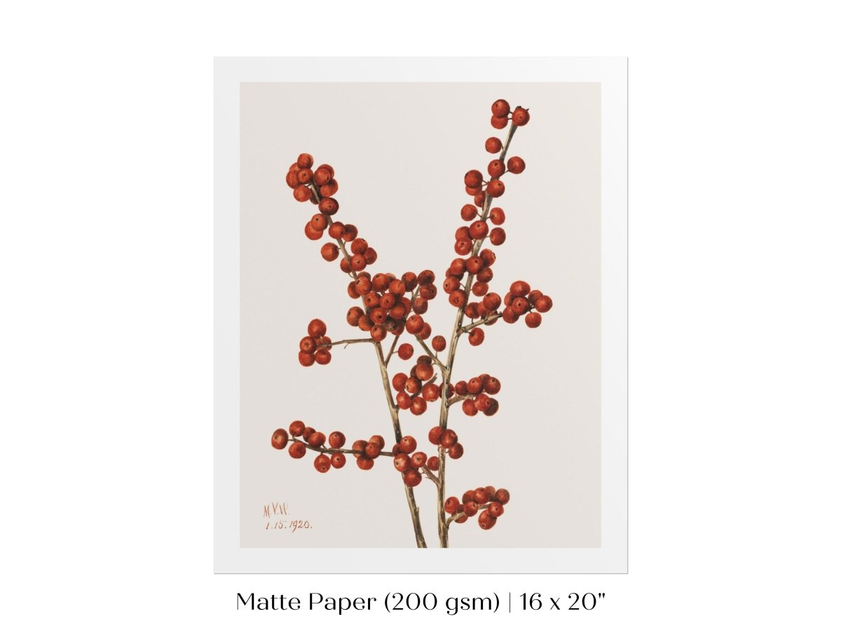 Winterberry Illustration | P469 - Single Art Prints - Piccolo Fiore Prints