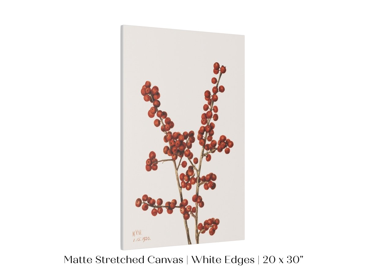 Winterberry Illustration | P469 - Single Art Prints - Piccolo Fiore Prints