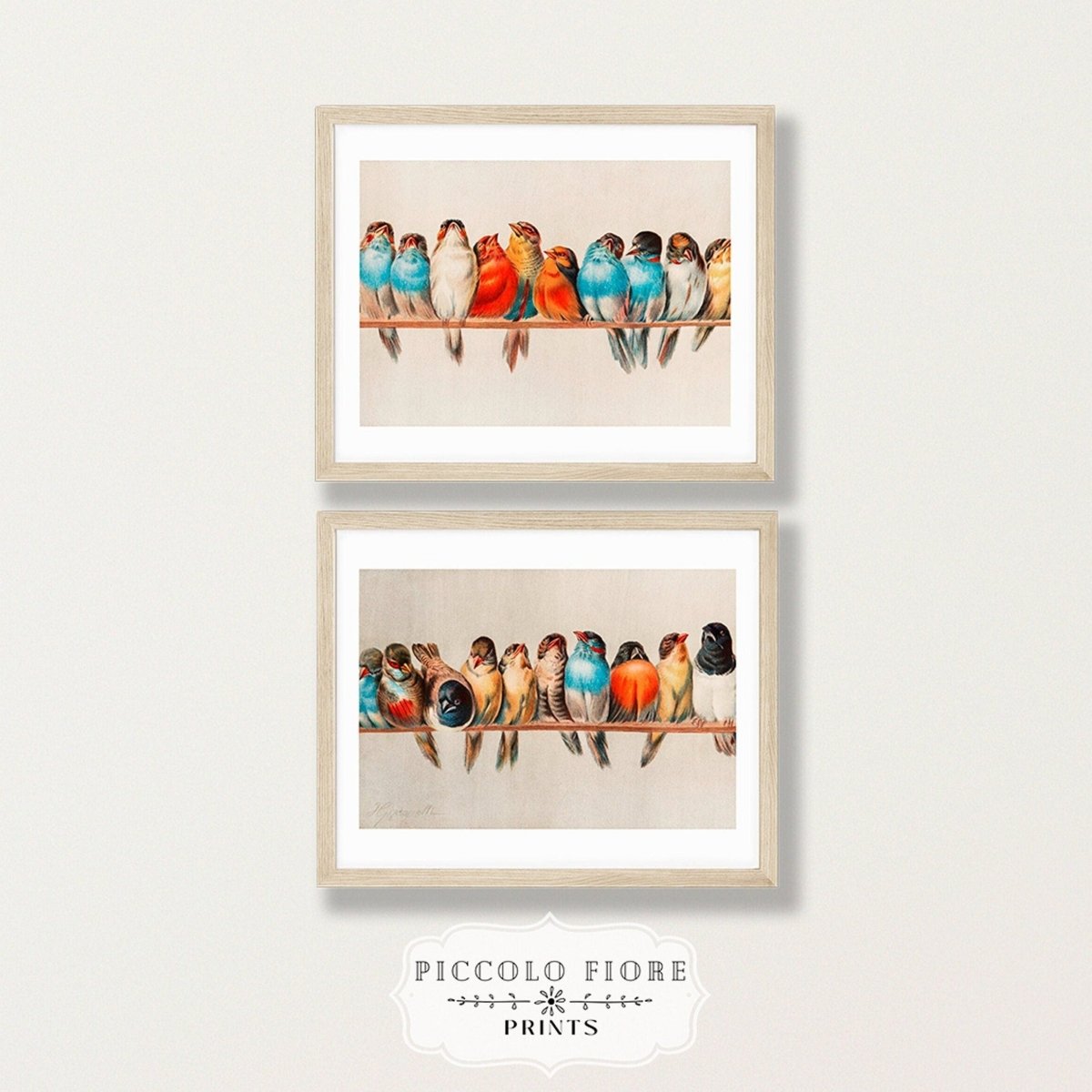 A Perch of Birds | Gallery Wall Set | 2 Prints | S11 - 1.2 - Gallery Wall Set - Piccolo Fiore Prints