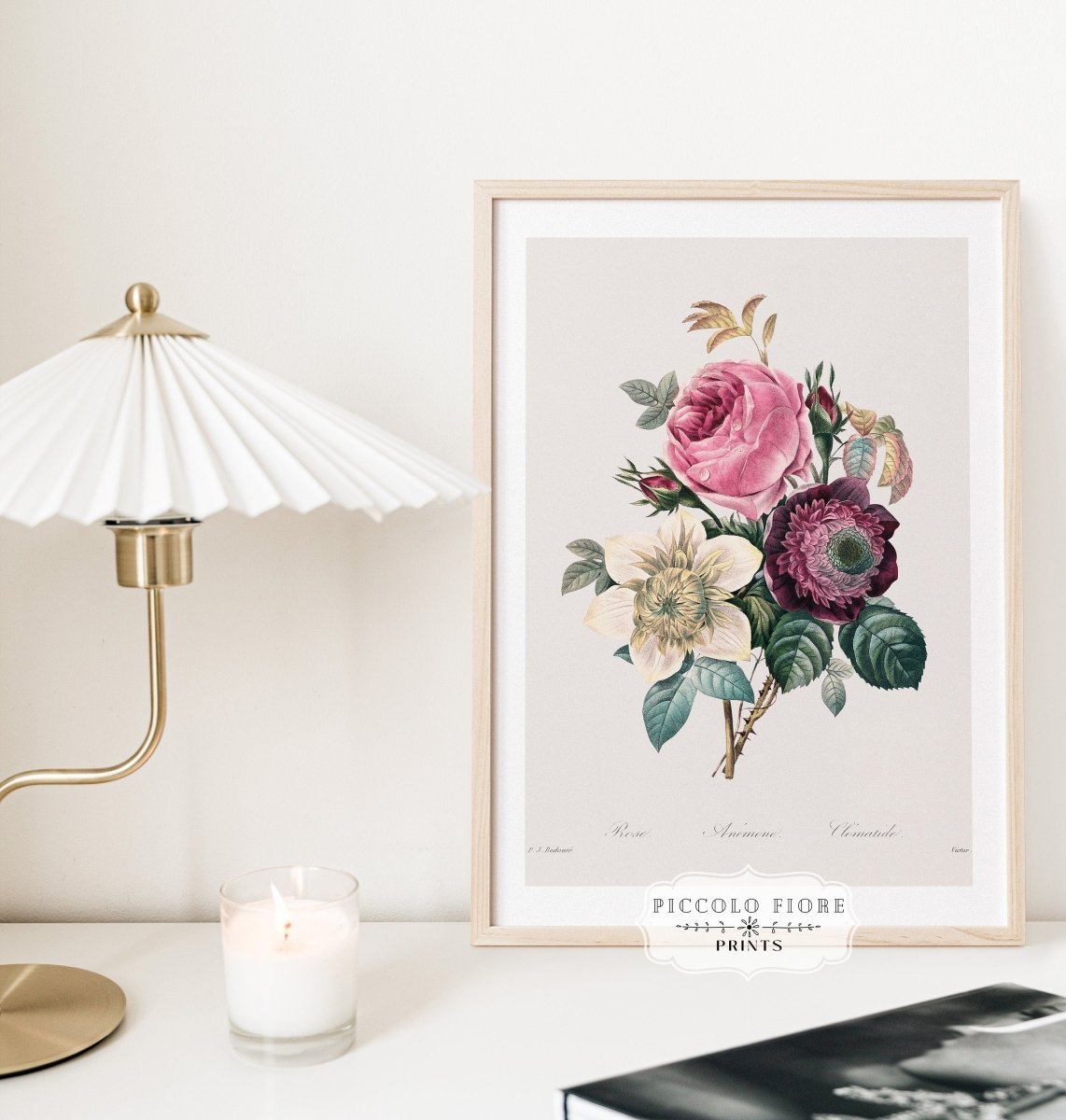 Anemone and Cabbage Rose Illustration | P492 - Single Art Prints - Piccolo Fiore Prints