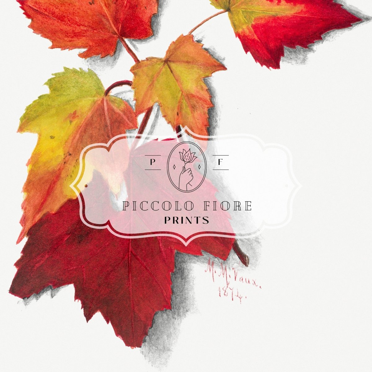 Autumn Leaves | Gallery Wall Set | 3 Prints | MVW - 1.1 - Gallery Wall Set - Piccolo Fiore Prints