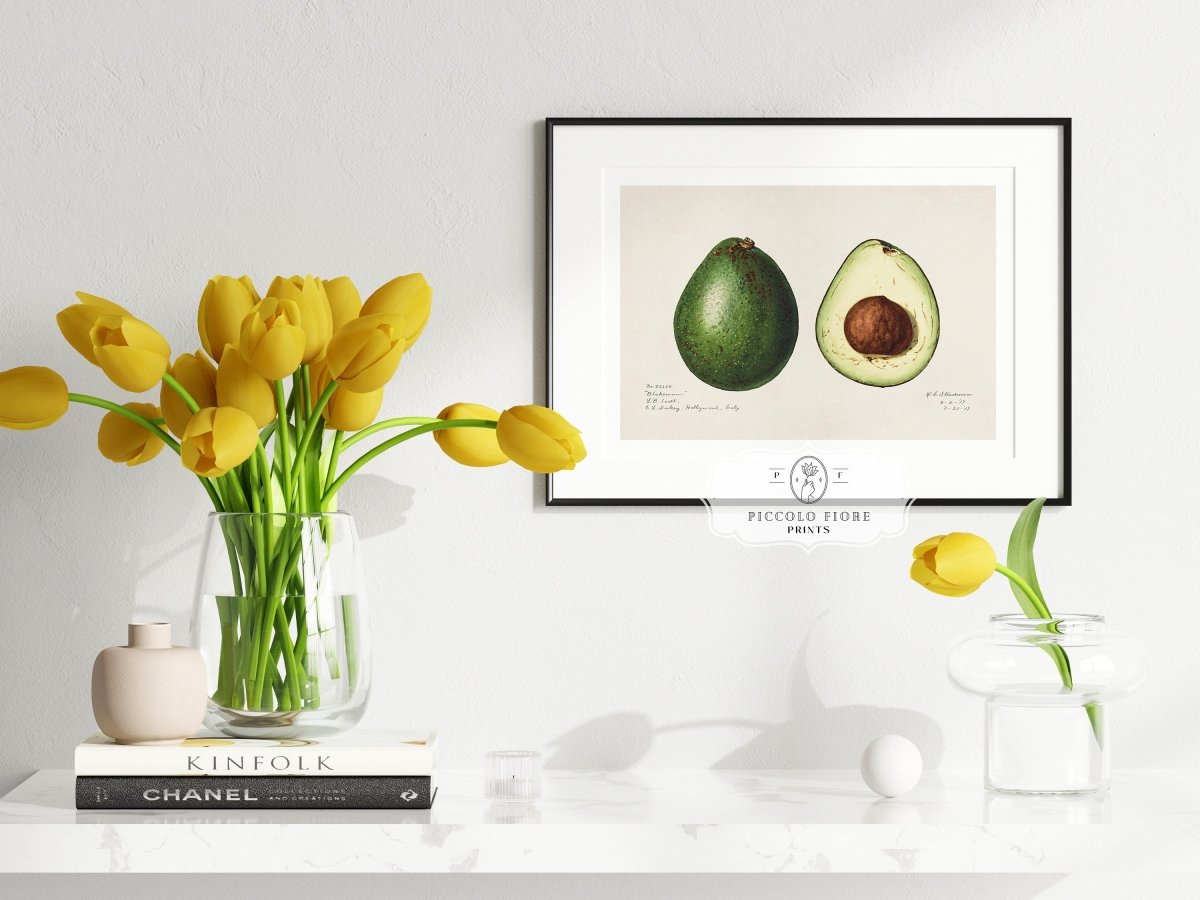Avocado Illustration | P416 - Single Art Prints - Piccolo Fiore Prints