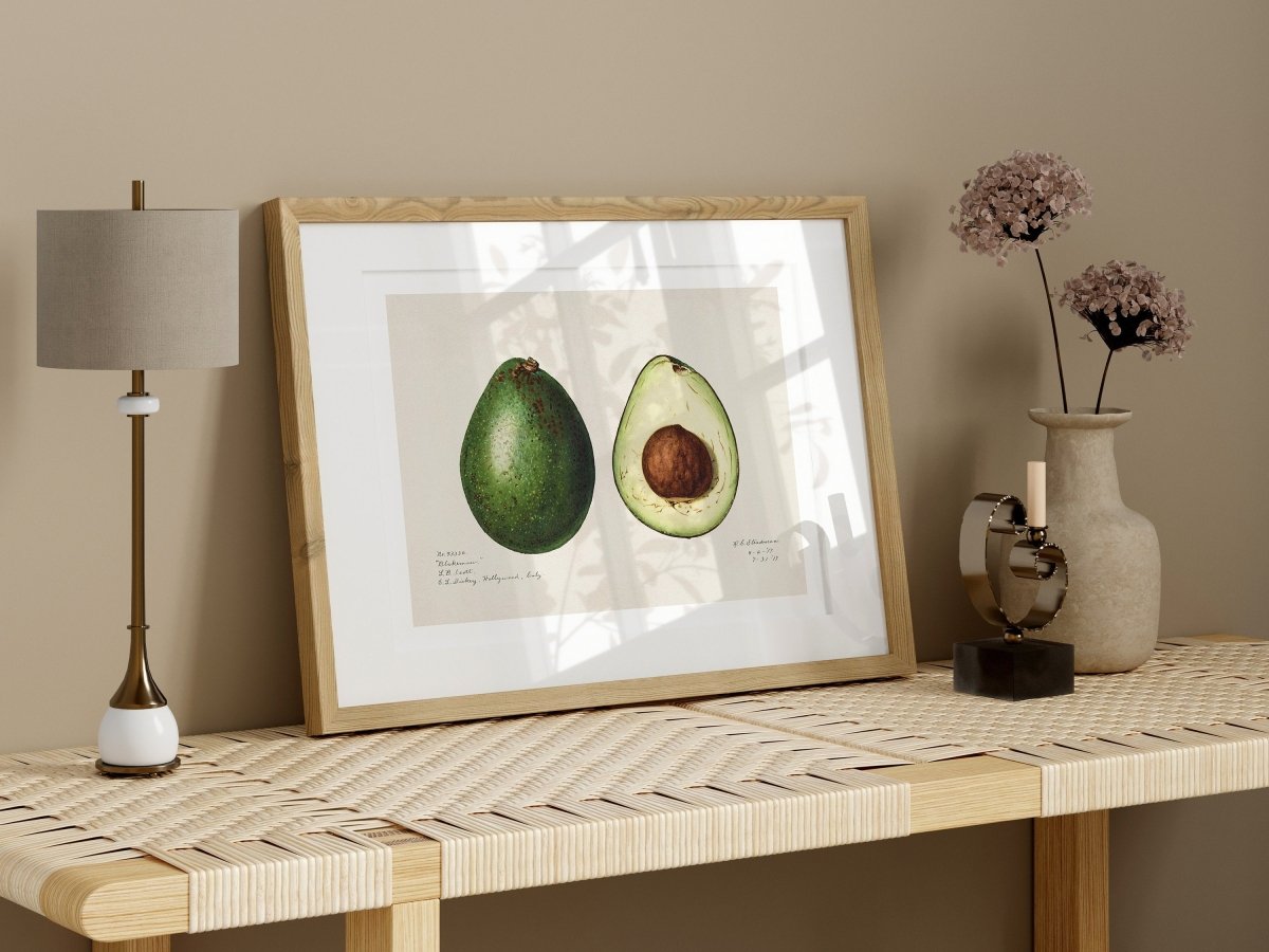 Avocado Illustration | P416 - Single Art Prints - Piccolo Fiore Prints