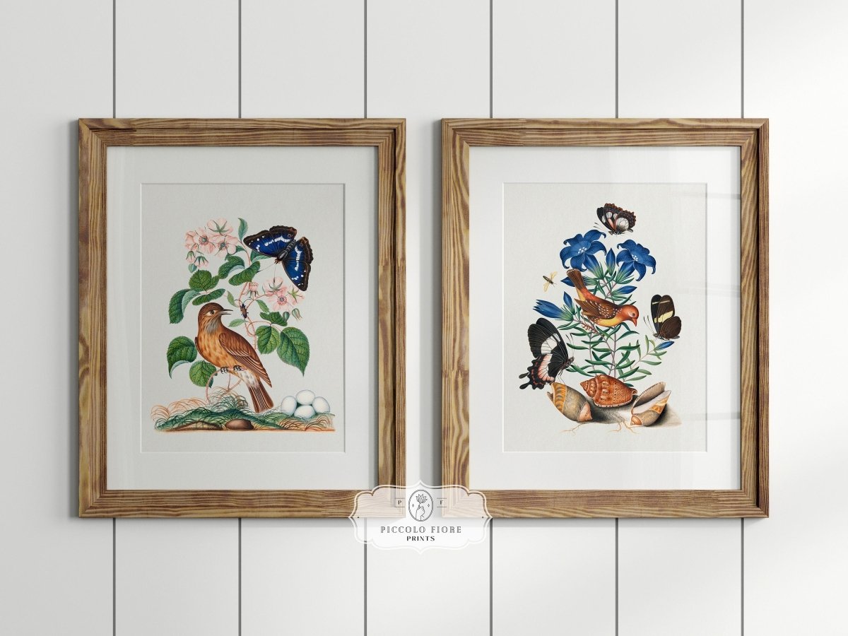 Birds and Butterflies | Gallery Wall Set | 2 Prints | M2 - 1 - Gallery Wall Set - Piccolo Fiore Prints
