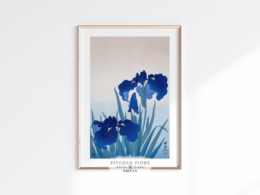 Blue Iris | Vintage Japanese Art | P156 - Single Art Prints - Piccolo Fiore Prints