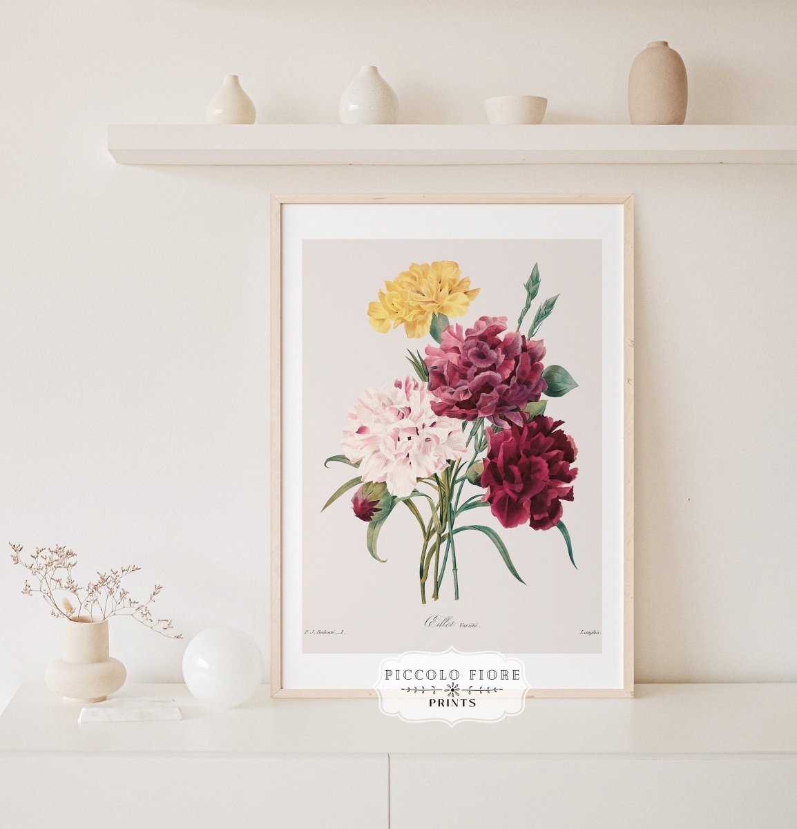 Carnations | P493 - Single Art Prints - Piccolo Fiore Prints